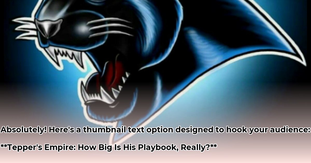 panthers-owner-net-worth